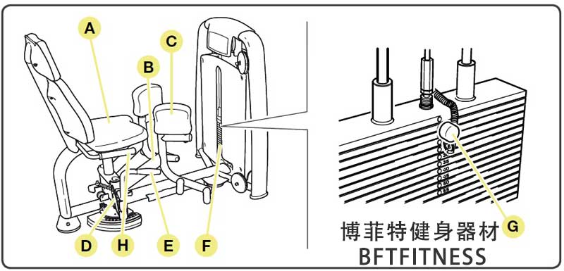 芭乐视频在线观看污内展芭乐视频黄在线观看